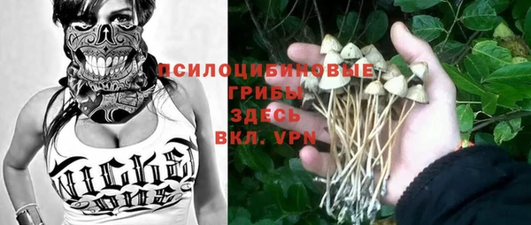 ECSTASY Инта