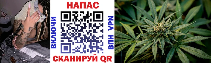 Конопля Bruce Banner  MEGA как зайти  Сухой Лог 